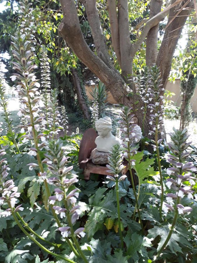 Villa Aigues Vives Boutenac Bagian luar foto