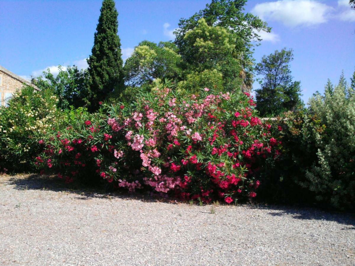 Villa Aigues Vives Boutenac Bagian luar foto
